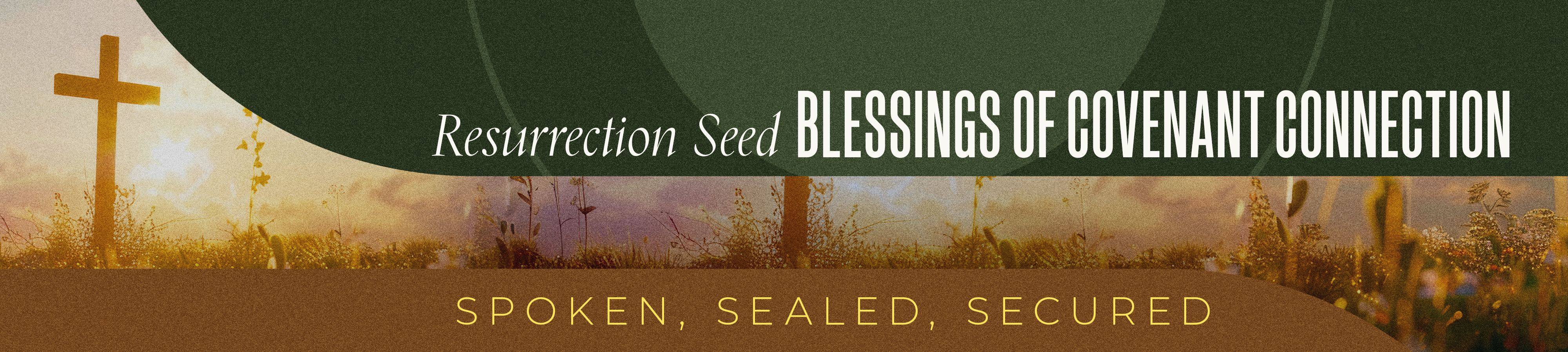 Resurrection Seed Walk Through God's Open Door to Your Resurrection Miracle!